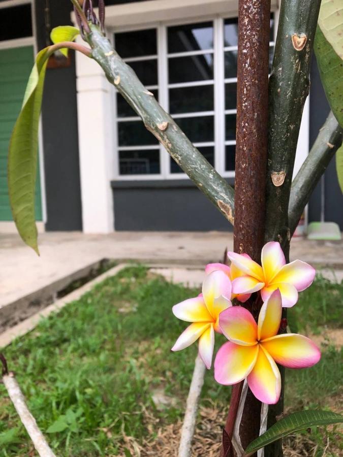 Lungo Guesthouse Kuala Terengganu Luaran gambar